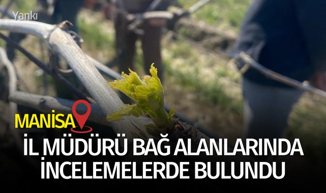 İl Müdürü Öztürk Bağ Alanlarında İncelemelerde Bulundu