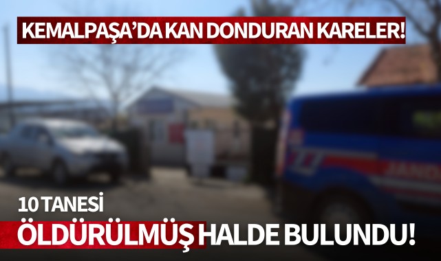 Kemalpaşa'da kan donduran görüntüler! 