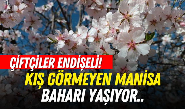 Kış görmeyen Manisa baharı yaşıyor