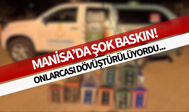Manisa'da şok baskın! Onlarcası dövüştürülüyordu...