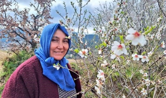 Manisa'da tüm meyve ağaçları çiçek açtı
