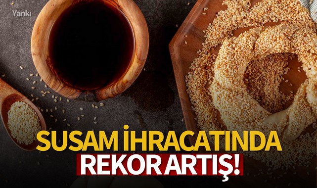 Susam ihracatında rekor artış!