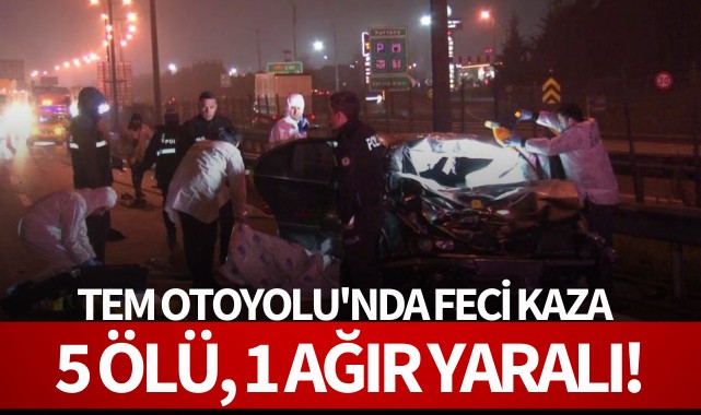 TEM Otoyolu'nda feci kaza: 5 ölü, 1 ağır yaralı!