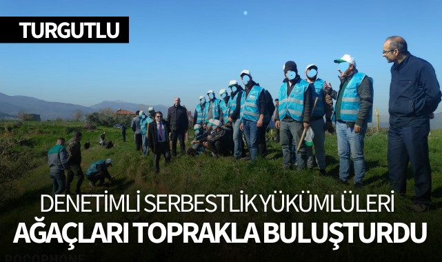 Başsavcı Yalçınöz, denetimli serbestlik yükümlüleriyle ağaç dikti
