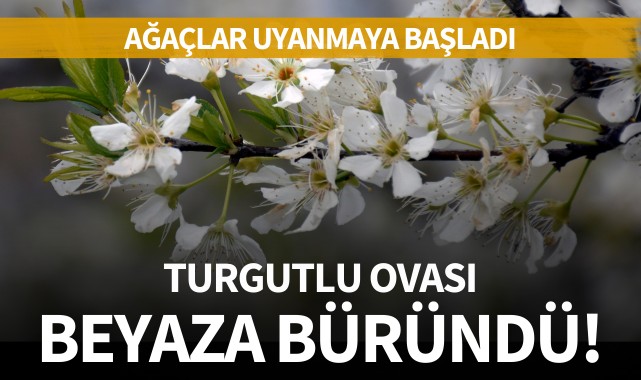 Turgutlu Ovası beyaza büründü