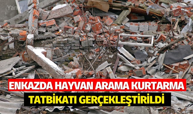 Enkazda hayvan arama kurtarma tatbikatı gerçekleştirildi