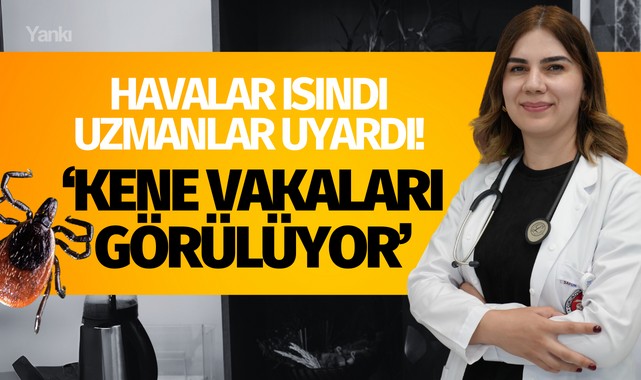 Havalar ısındı! Keneye dikkat!
