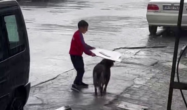 Küçük çocuktan yağmur altında insanlık dersi