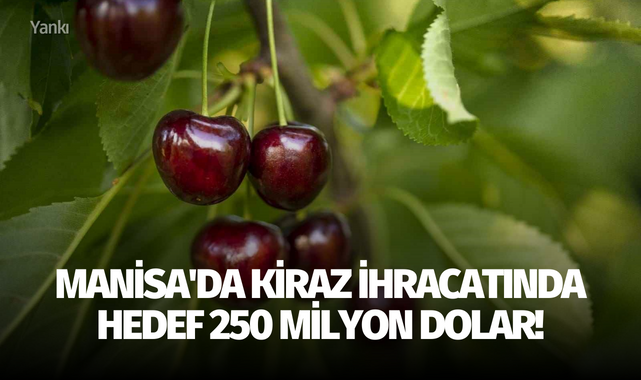 Manisa'da kiraz ihracatında hedef 250 milyon dolar!