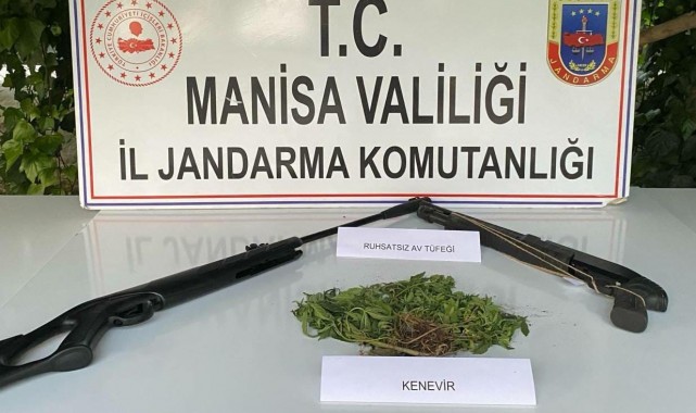Manisa'da Hint keneviri yetiştiren 3 kişi yakalandı