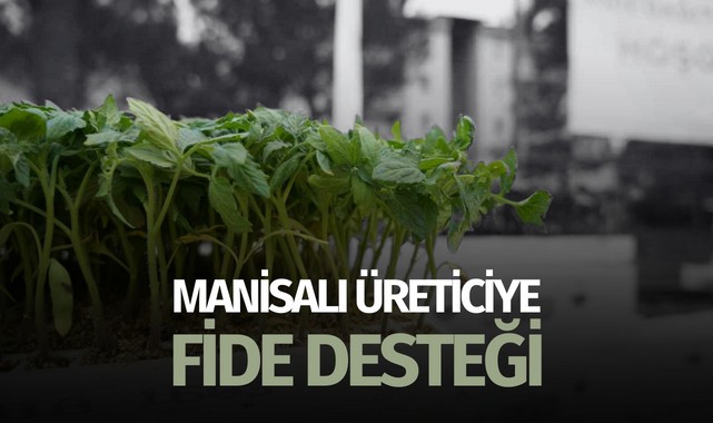 Manisalı üreticiye fide desteği