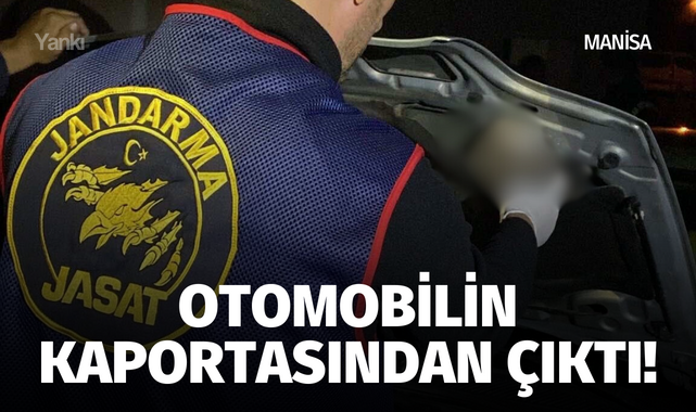 Otomobilin kaportasından çıktı!