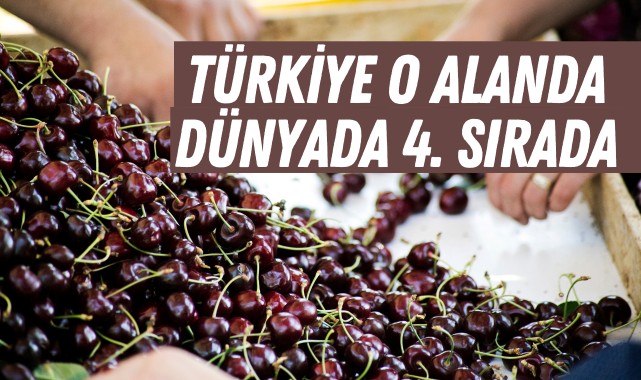 Türkiye, meyve üretiminde dünyada 4'üncü sırada