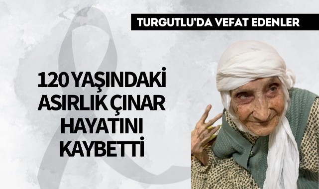 120 yaşındaki asırlık çınar hayatını kaybetti