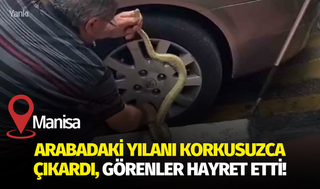 Arabadaki yılanı korkusuzca çıkardı, görenler hayret etti