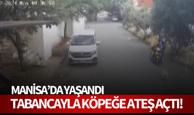 Bilye atan havalı tabancayla köpeğe ateş açtı