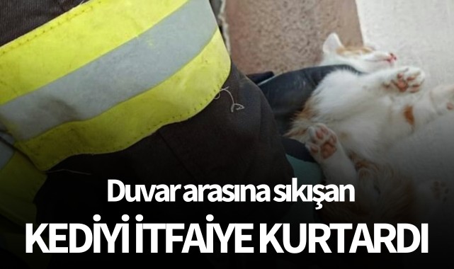 Duvar arasına sıkışan kediyi itfaiye kurtardı
