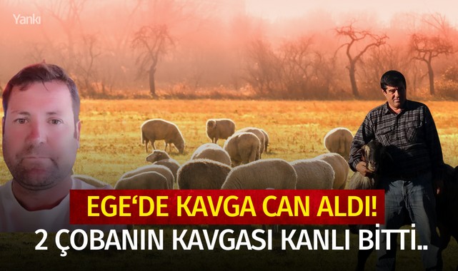 Ege'de kavga can aldı! 2 çobanın kavgası kanlı bitti..