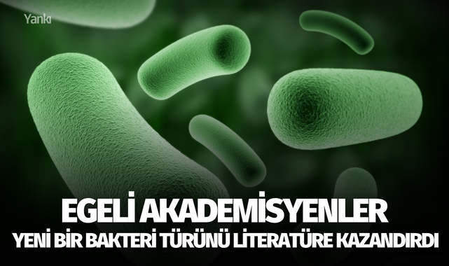Egeli akademisyenler yeni bir bakteri türünü literatüre kazandırdı