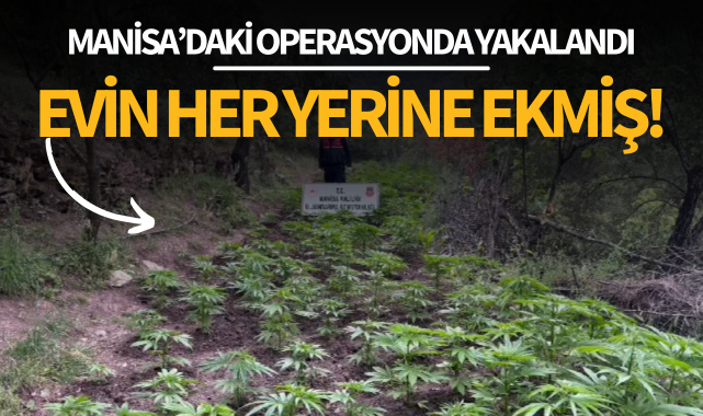 Evin her yerine ekmiş: Manisa'daki operasyonda yakalandı!