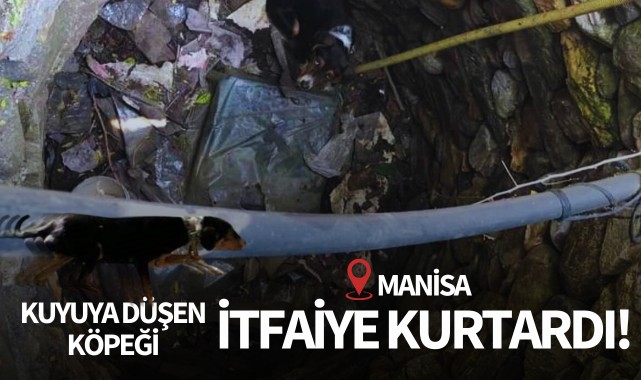 Kuyuya düşen köpeği itfaiye kurtardı