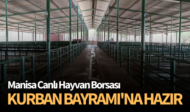 Manisa Canlı Hayvan Borsası Kurban Bayramı'na hazır