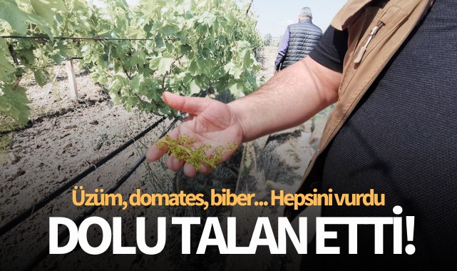 Manisa'da dolu talanı!