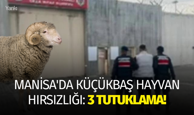 Manisa'da küçükbaş hayvan hırsızlığı: 3 tutuklama