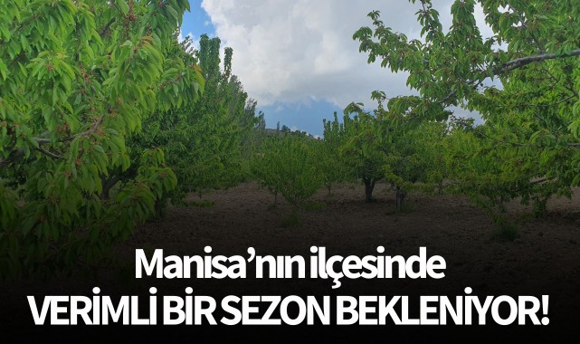 Manisa'nın ilçesinde verimli bir sezon bekleniyor!