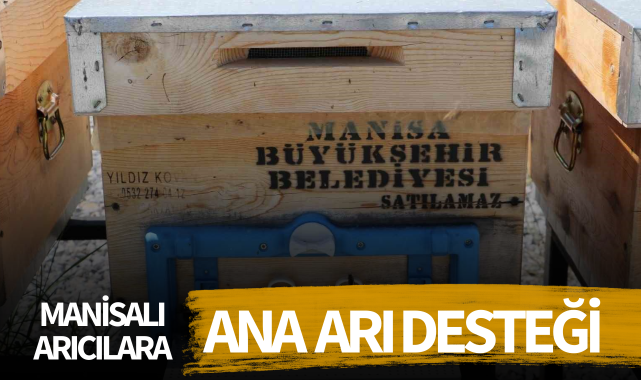 Manisalı arıcılara ana arı desteği