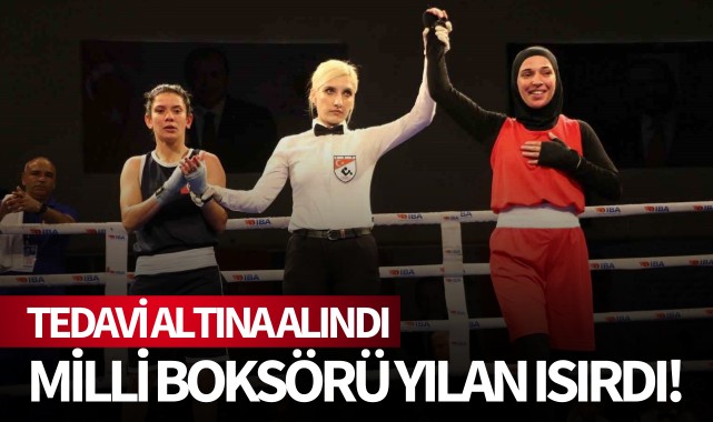 Milli boksörü yılan ısırdı!