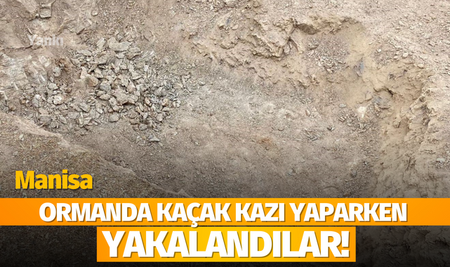 Ormanda kaçak kazı yaparken yakalandılar!