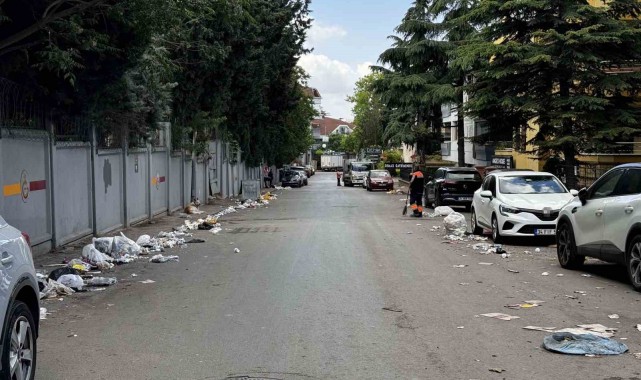 Şampiyonluk kutlamaları bitti, geriye çöp yığınları kaldı
