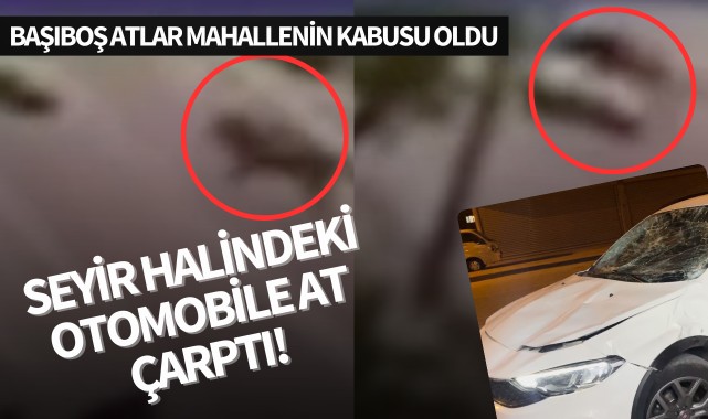 Seyir halindeki otomobile at çarptı