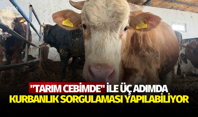 "Tarım Cebimde" ile üç adımda kurbanlık sorgulaması yapılabiliyor