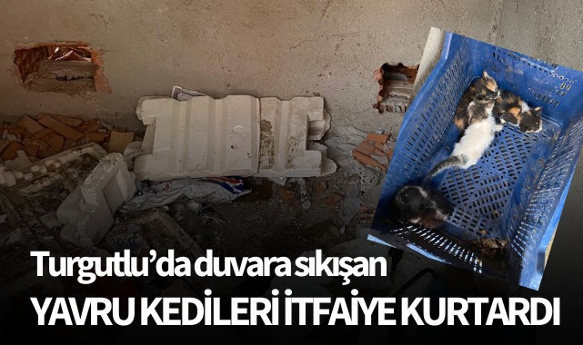 Turgutlu'da duvara sıkışan yavru kedileri itfaiye kurtardı