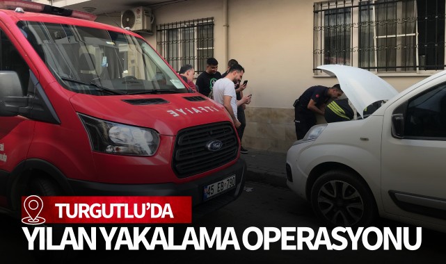 Turgutlu'da yılan yakalama operasyonu