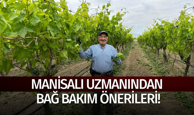 Uzmanından bağ bakım önerileri!