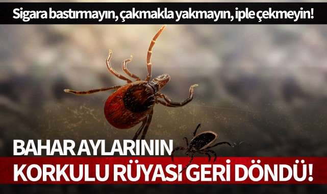 Yaz aylarının korkulu rüyası geri döndü!