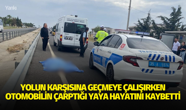 Yolun karşısına geçmeye çalışırken otomobilin çarptığı yaya hayatını kaybetti