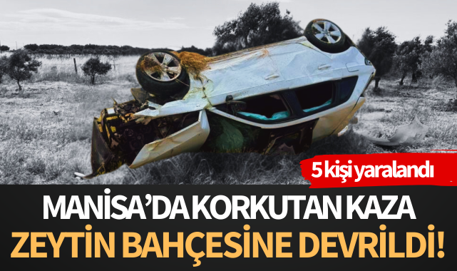 Zeytin bahçesine devrilen otomobildeki 5 kişi yaralandı