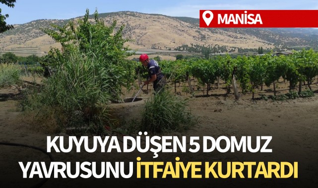 5 domuz yavrusunu itfaiye kurtardı
