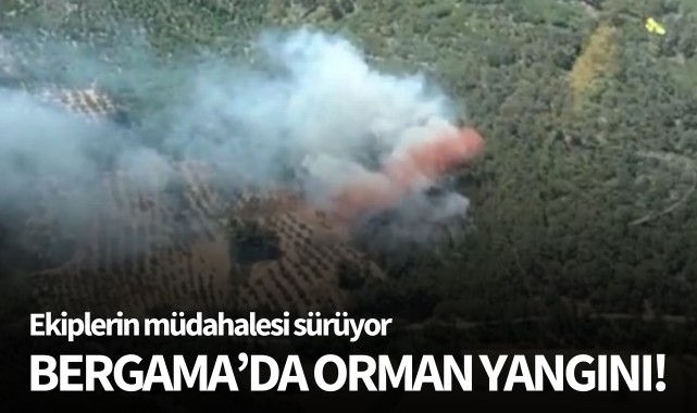Bergama'da orman yangını!
