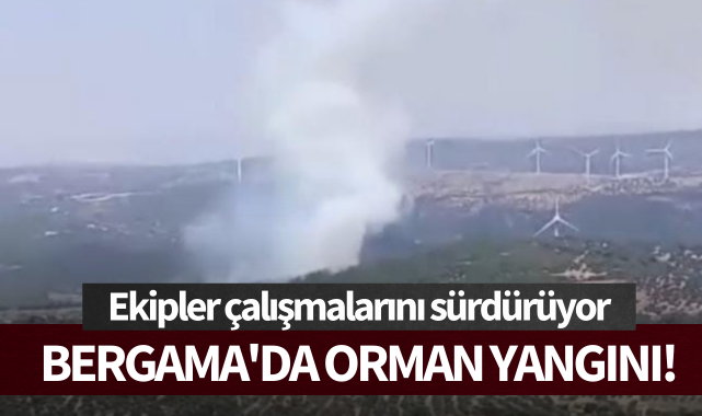 Bergama'da orman yangını