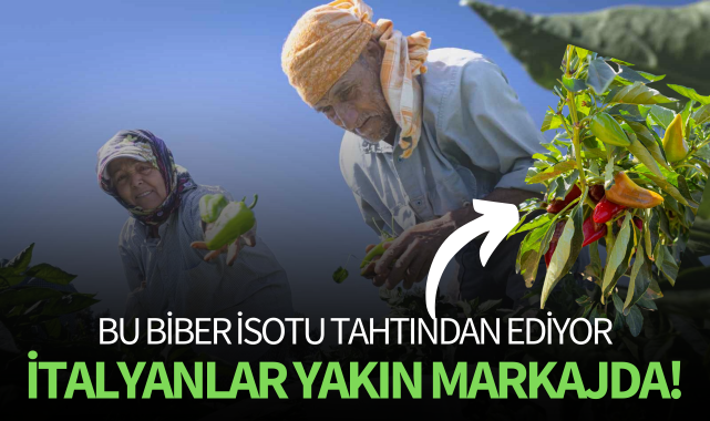 Bu biber, isotu tahtından ediyor: İtalyanlar yakın markajda!