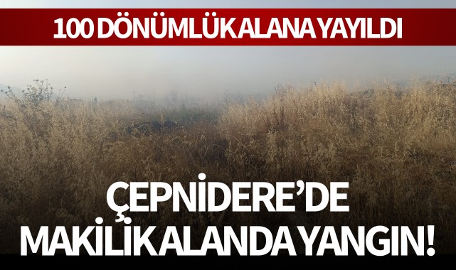 Çepnidere'de makilik alanda yangın! 100 dönümlük alana yayıldı