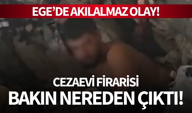 Cezaevi firarisi bakın nereden çıktı!
