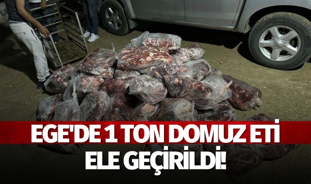 Ege'de 1 ton domuz eti ele geçirildi!
