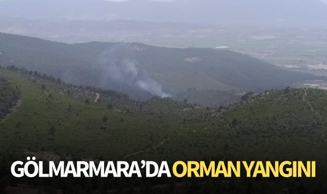 Gölmarmara'da orman yangını!