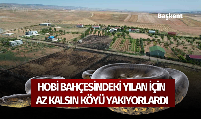 Hobi bahçesindeki yılan için az kalsın köyü yakıyorlardı